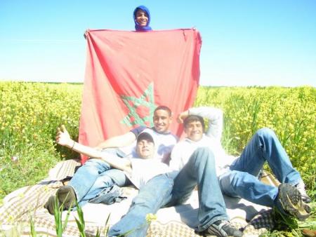 vive freindly and vive maroco